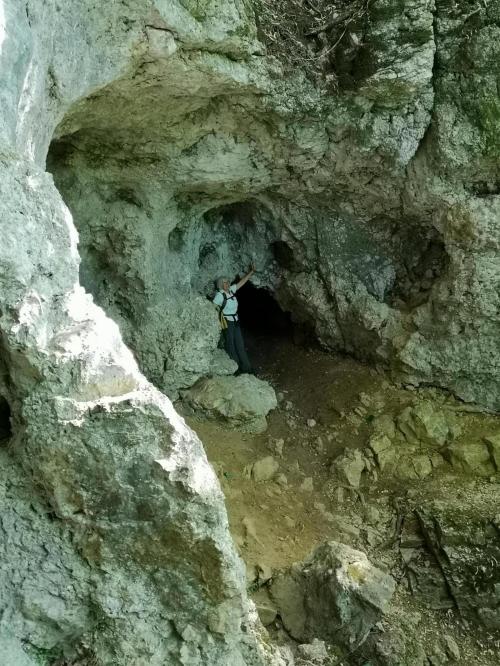 Jolande Ott- Hornung