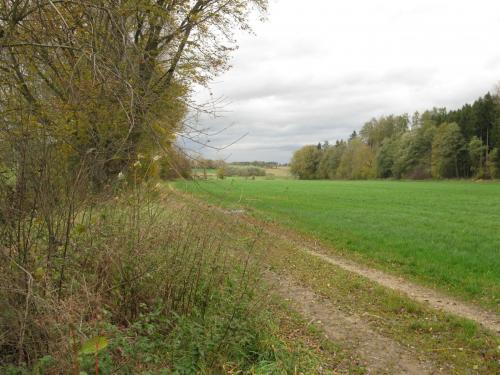 Maria und Franz Baur