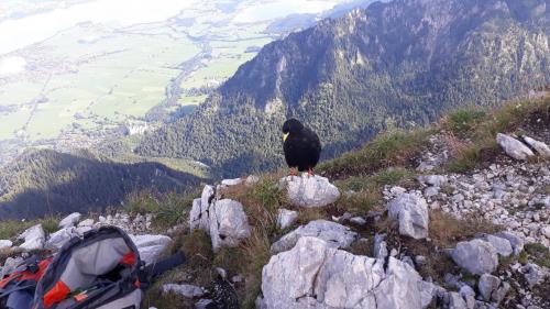 Partnerschaftskomitee