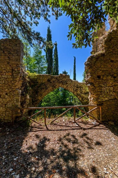 Partnerschaftskomitee